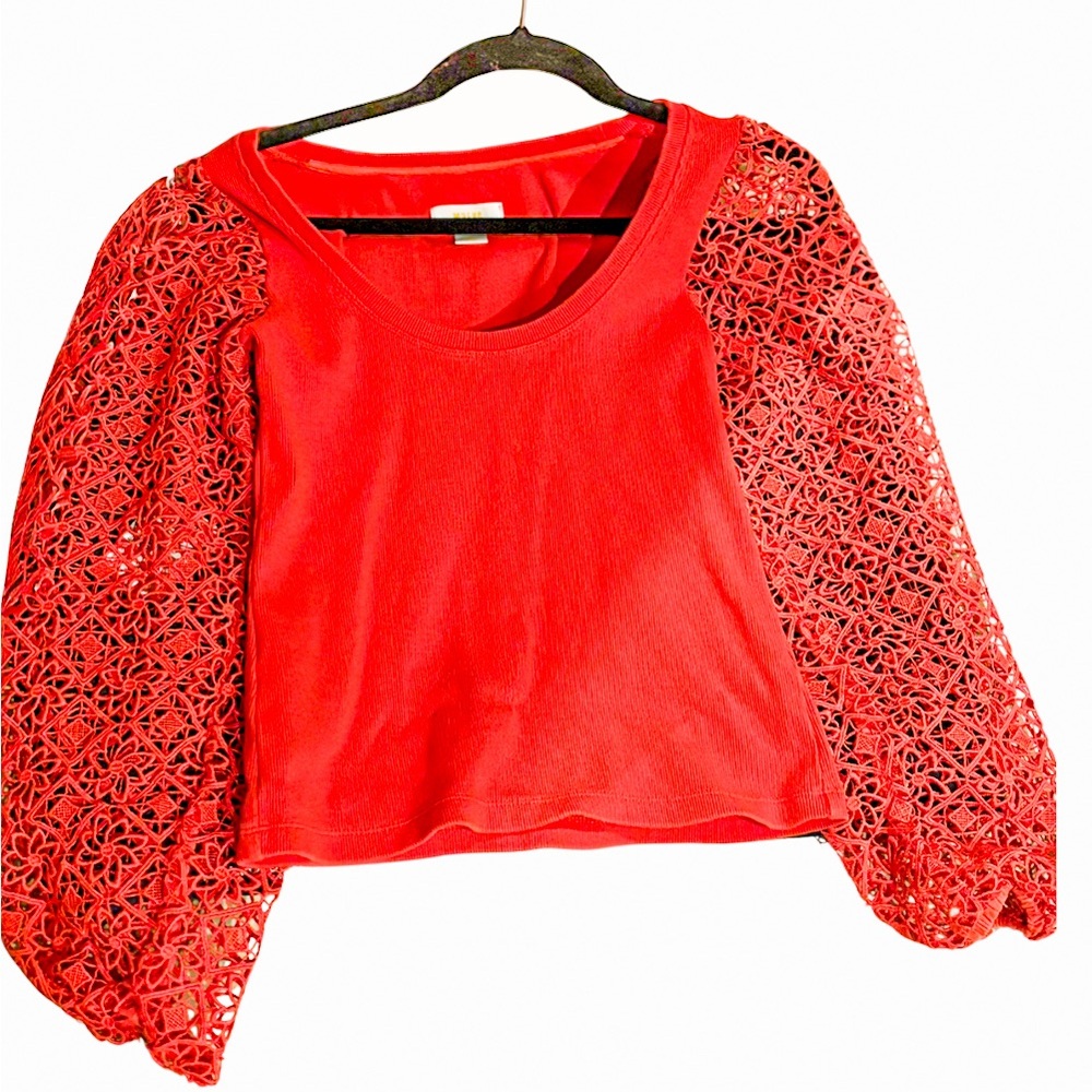 Maeve Red Lace Sleeve Top